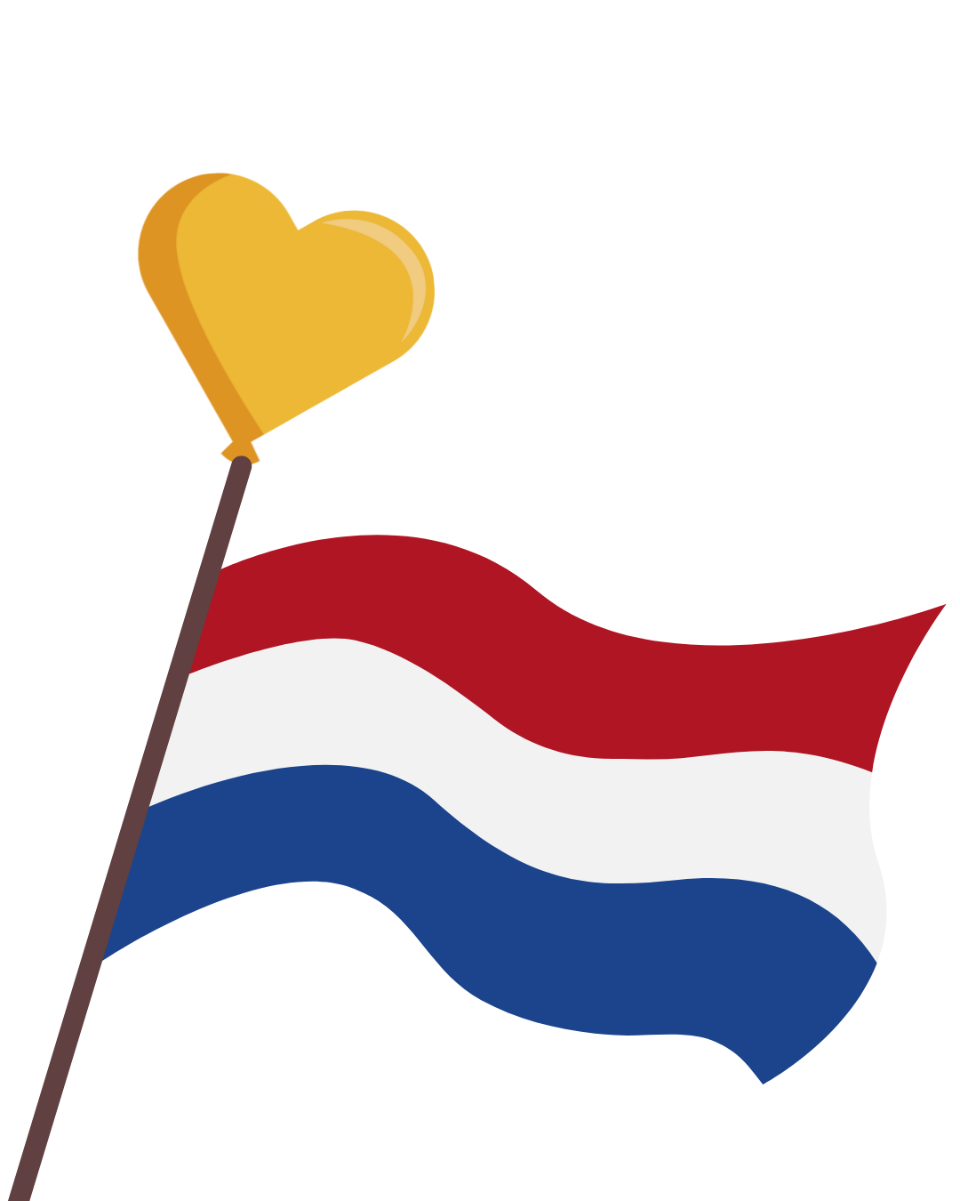 * Geslaagd? Of gewoon goed zoals je bent? *