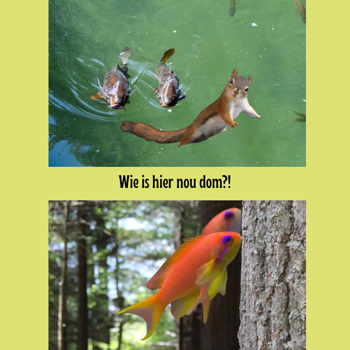 * En, hoe is jouw rapport? *